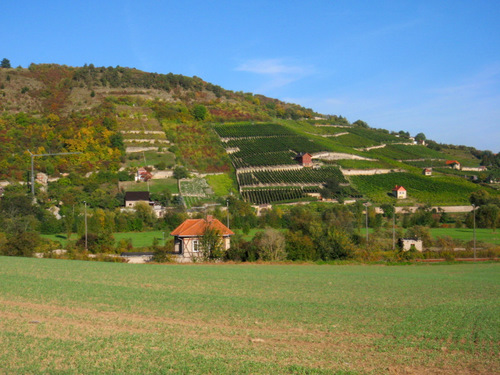 Across the Unstrut River from near Nißmitz.